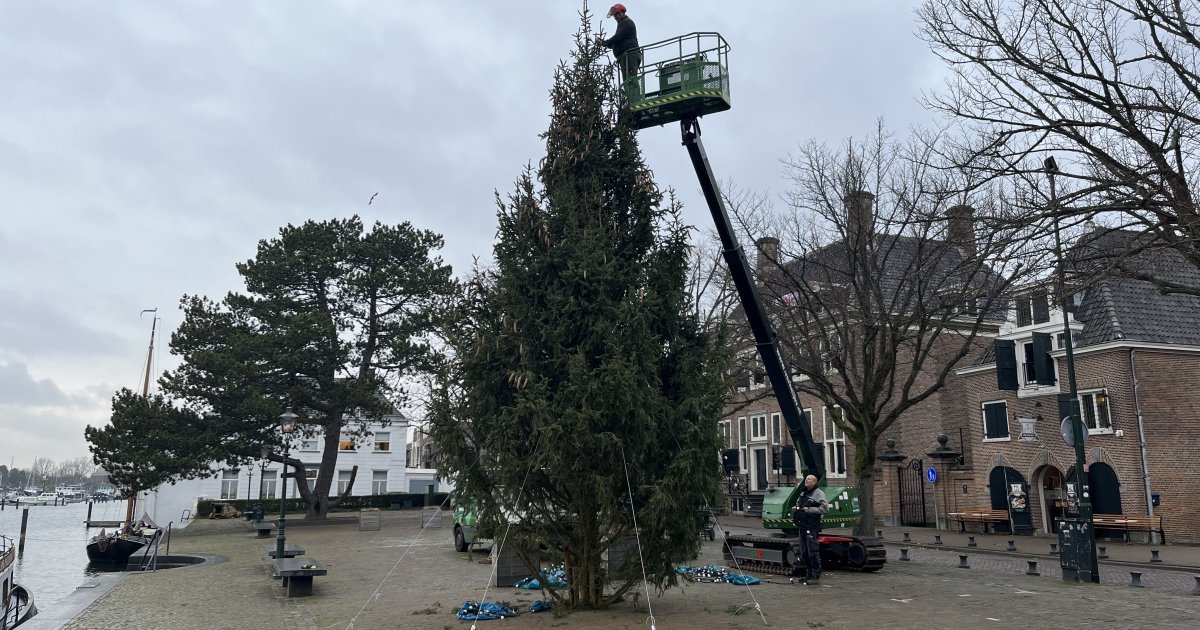 De boom staat